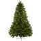 7.5ft. Pre-Lit Royal Grand Artificial Christmas Tree, Clear Lights